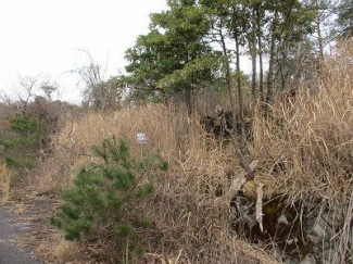 滋賀県蒲生郡日野町大字上駒月の売地の画像