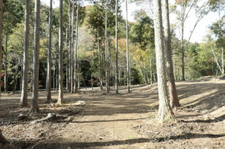 筱見四十八滝に隣接の里山、ほぼ平坦(段状）1,900坪坪　渓流沿いの画像