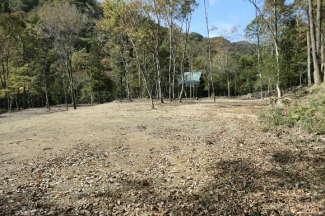 筱見四十八滝に隣接の里山、ほぼ平坦(段状）1,900坪坪　渓流沿いの画像