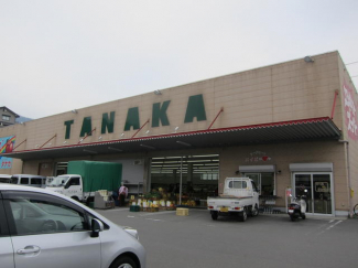 タナカまで1181m