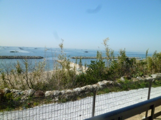 松江海岸すぐ！