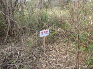 香川県高松市新田町乙の売地の画像