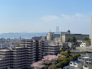 神戸市垂水区千代が丘２丁目のマンションの画像