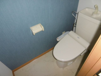 清潔感のあるトイレです