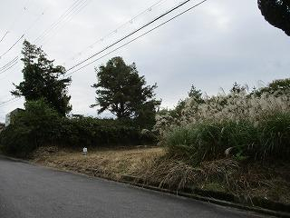 滋賀県蒲生郡日野町大字小井口の売地の画像