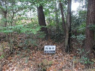 滋賀県蒲生郡日野町大字上駒月の売地の画像