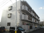 松山市東石井５丁目のマンションの画像
