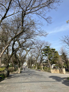 住吉公園。緑や桜の木があり、散歩していて気持ちが良いです