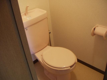 落ち着いた色調のトイレです