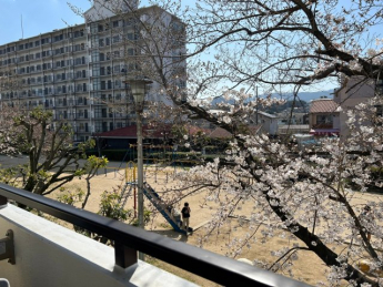 バルコニーからは、公園と桜が見えます♪