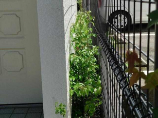 松山市南持田町の売地の画像