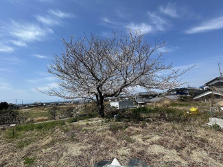 伊予市尾崎の売地の画像