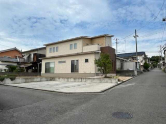 NO.301の画像