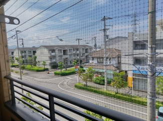 【展望】 【展望】