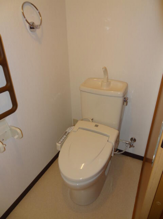 サウザンド サニーの画像