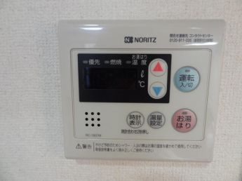 サウザンド サニーの画像