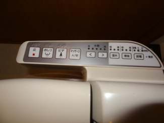 サウザンド サニーの画像