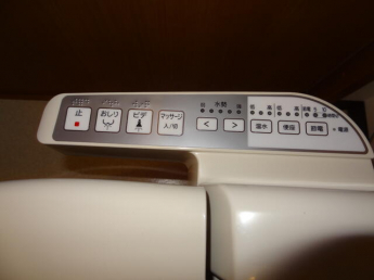 サウザンド サニーの画像