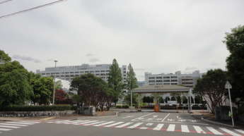 【展望】 【展望】