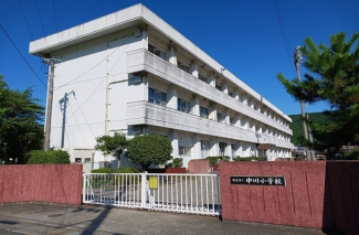 【周辺】 西予市立中川小学校様まで800m