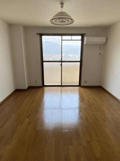 オーパスワンの画像