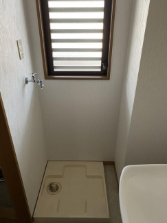 オーパスワンの画像