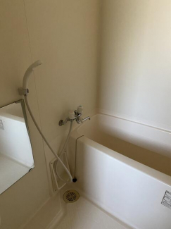 オーパスワンの画像