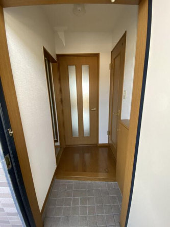 オーパスワンの画像