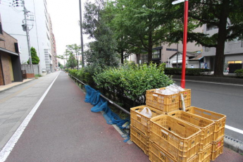 朝日プラザ定禅寺北の画像