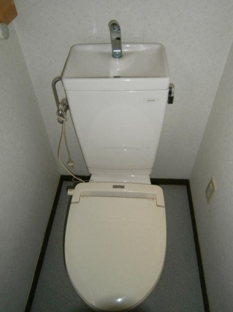 Ｌｅａｆ４５７の画像
