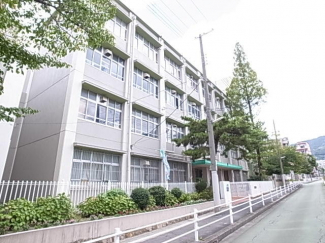 神戸市立御影小学校まで561m