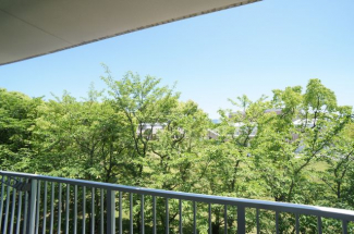 【展望】