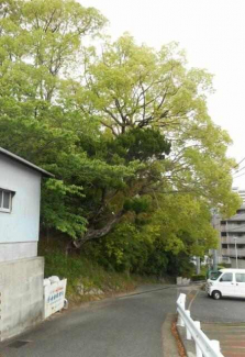 神戸市垂水区名谷町字加市の売地の画像