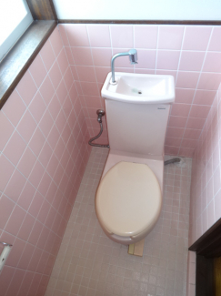 汲み取りトイレです