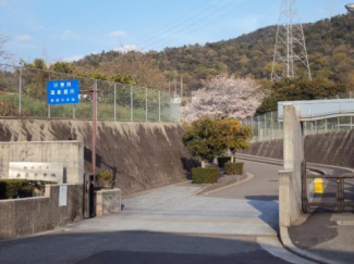 松山市立桑原中学校まで439m