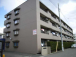 仙台市宮城野区宮千代2丁目のマンションの画像