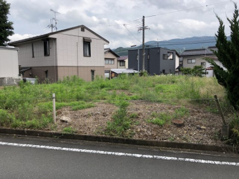 北側より撮影