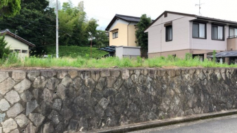 南側より撮影