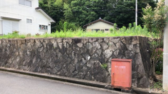 南側より撮影