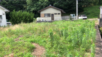 南側より撮影