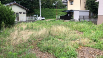 南側より撮影