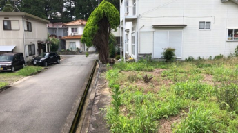 【展望】