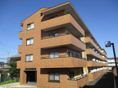 大津市大将軍１丁目のマンションの画像