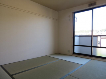 バンブーヒルの画像