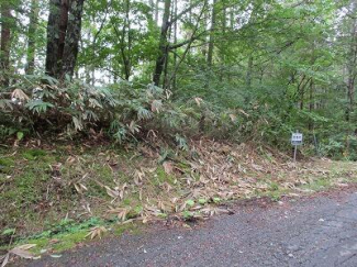 長野県木曽郡木曽町開田高原西野の売地の画像