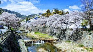 春の芦屋川風景