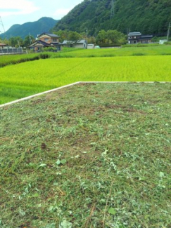 和田山町枚田岡　売土地の画像