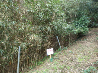 福岡県宗像市野坂の売地の画像