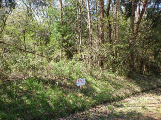 栃木県塩谷郡塩谷町大字熊ノ木の売地の画像