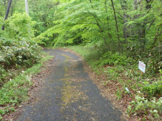 広島県広島市佐伯区湯来町大字白砂の売地の画像